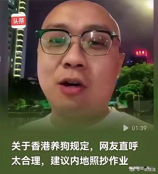 终于明白为啥全网都喊着要抄香港的养狗作业！把香港的宠物法规掰开揉碎了用大白话讲，