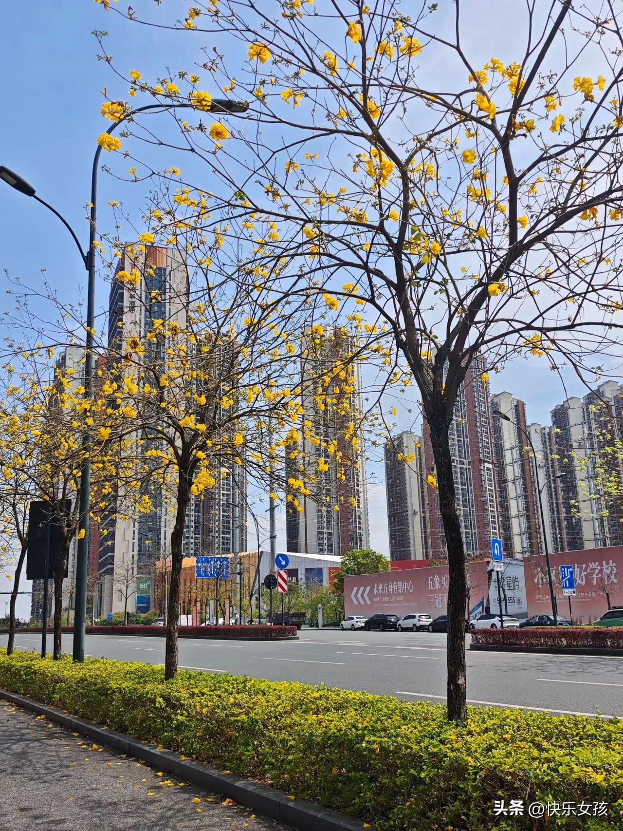 今年春天最想实现的心愿