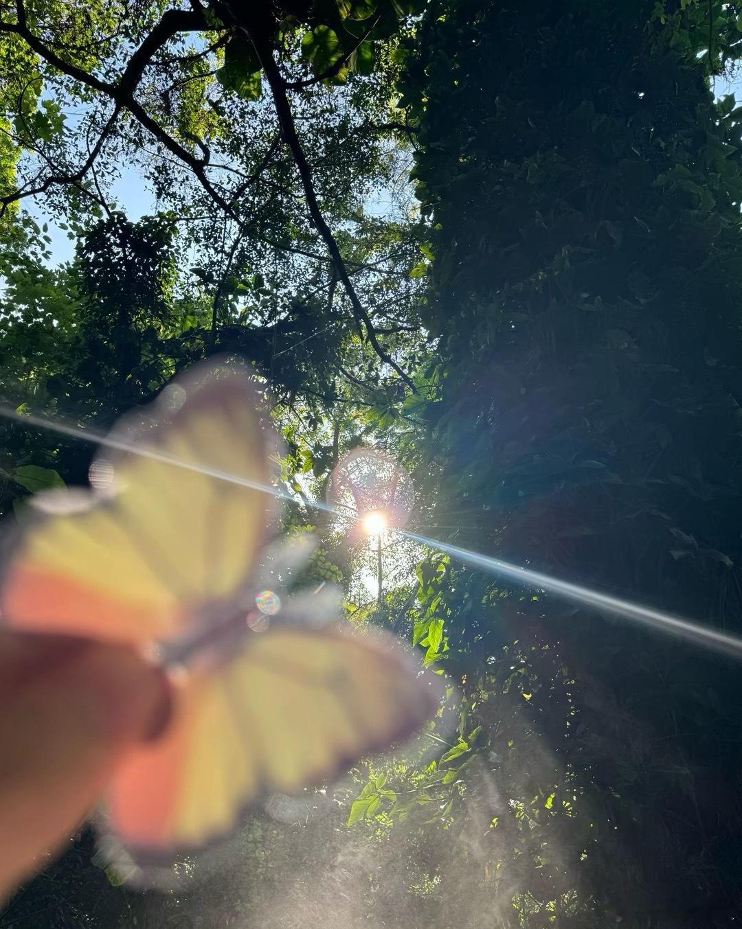 微博年度待改编ip评选pick你心中的改编潜力王 在严冬获得温暖：纪伯伦告诉我的