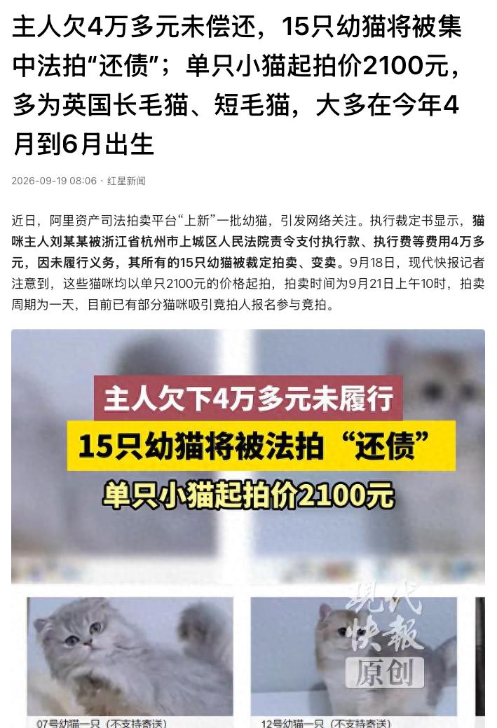 “欠债还钱，天经地义！”浙江杭州，一名猫舍经营者欠下4万多元执行款迟迟未还，法院
