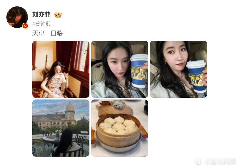 #刘亦菲天津一日游##刘亦菲手持黄玫瑰咖啡#天津的传统文化与刘亦菲的现代魅力相互