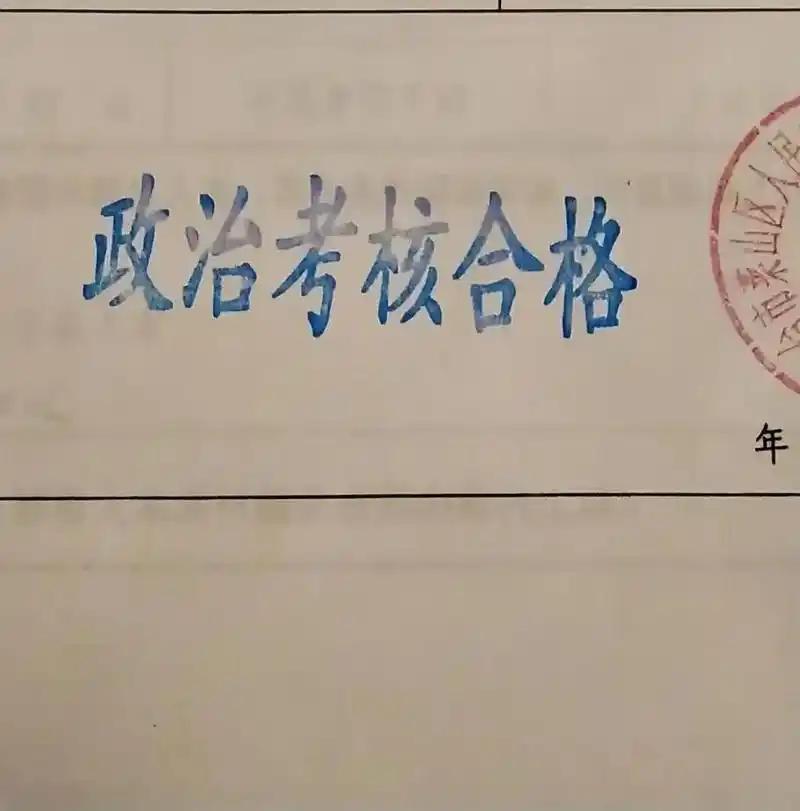普通公务员岗位，单纯出轨属于私人道德问题，不违法、不犯罪，完全不影响政审，照样可