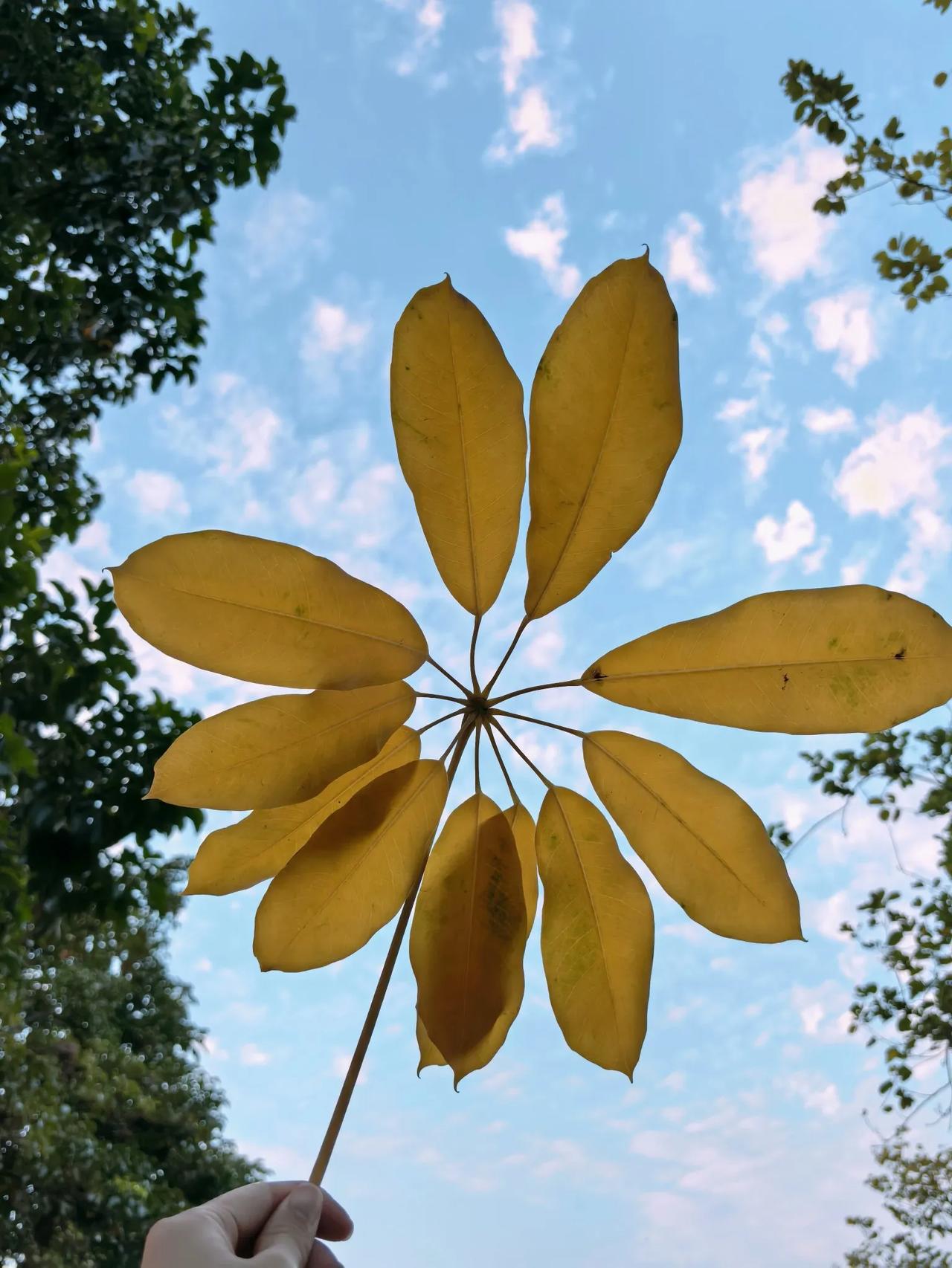 下联:年年顺顺利利。求上联