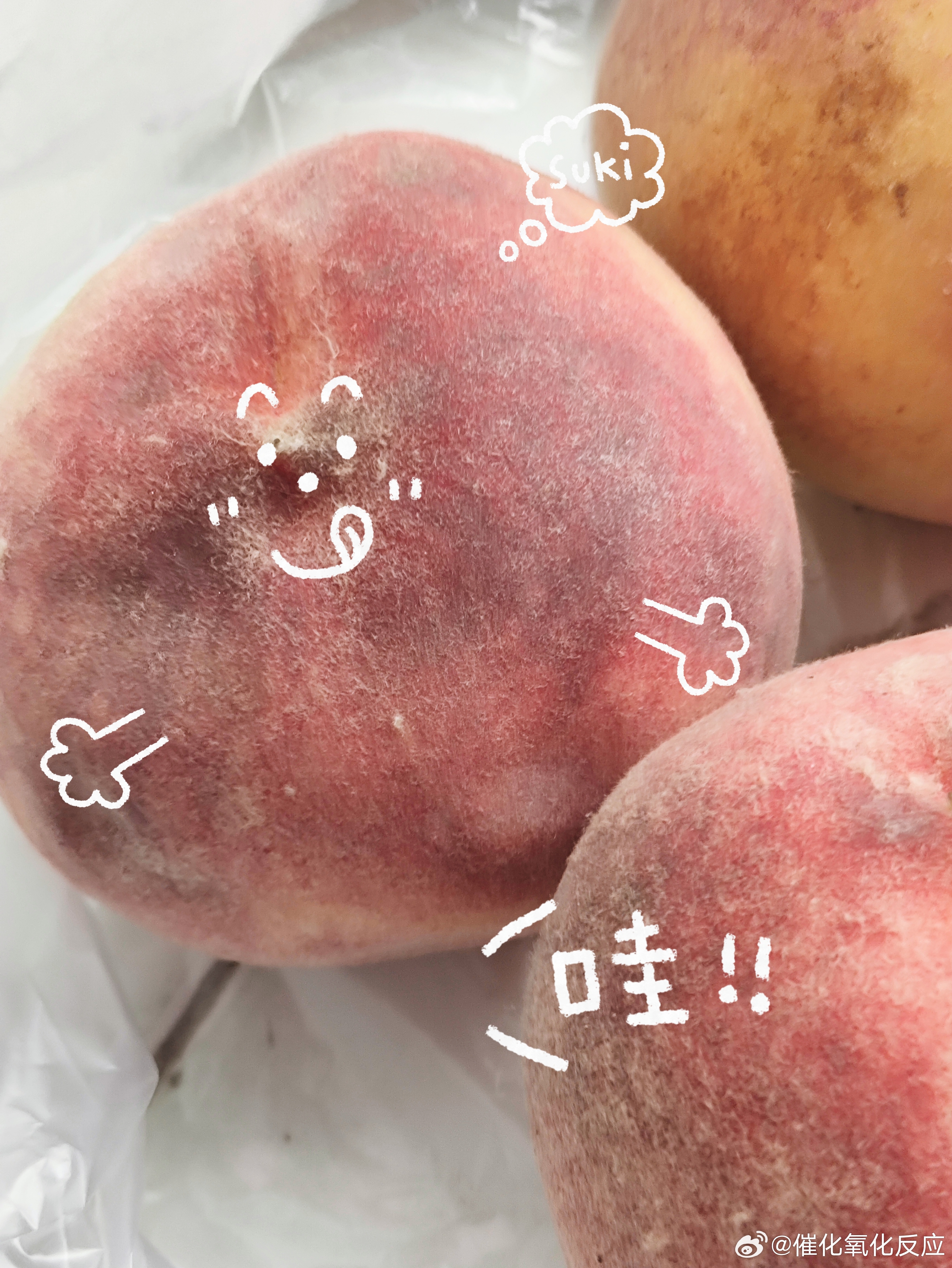 就这个桃儿 ​​​