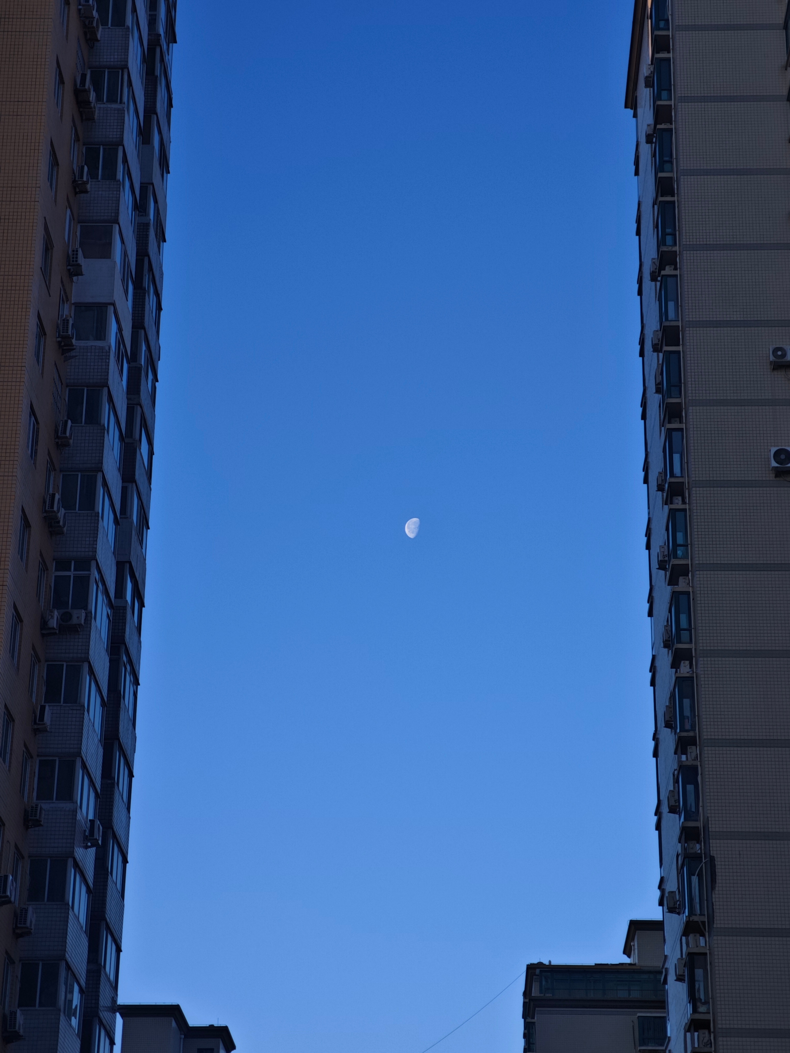 在高铁站遇见一个大姨，应该是聋哑人，手持一个A5大小的牌子，上面写着中国慈善什么