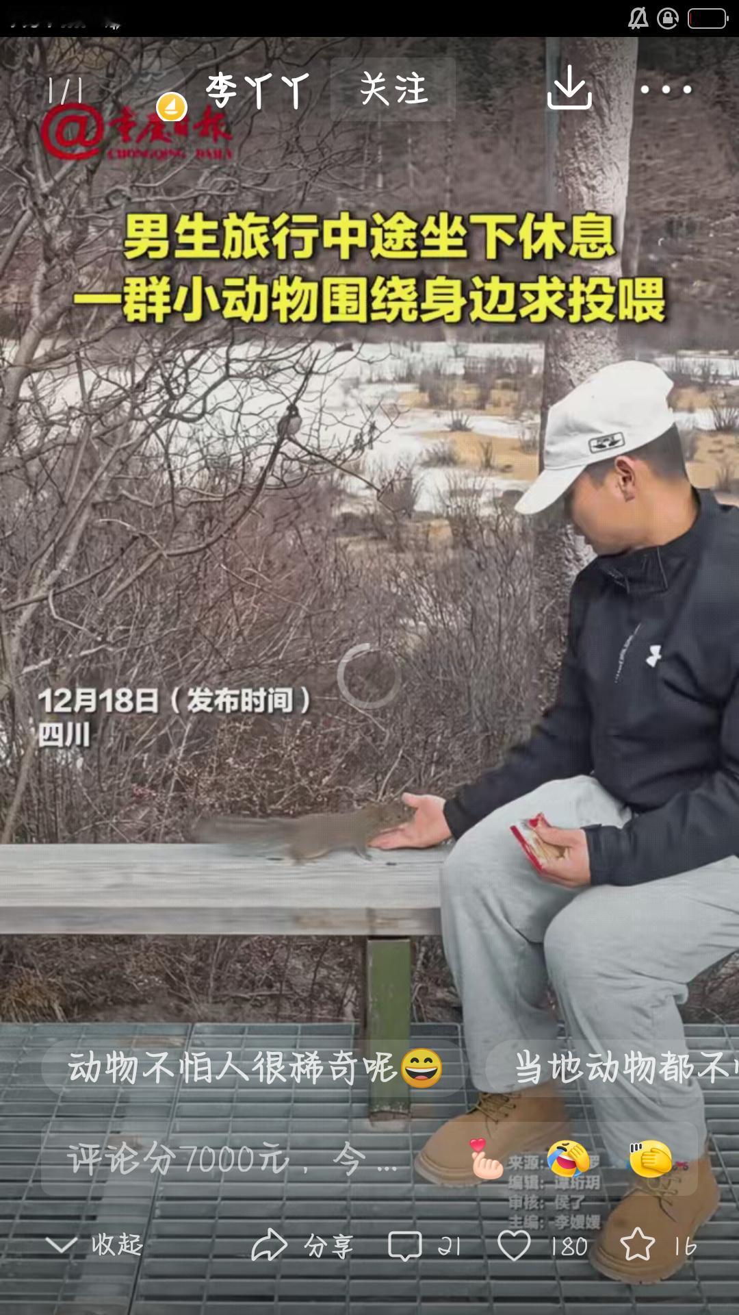 “解释不清了
！四川游客喂松鼠，竟引来一群小动物主动贴贴！”

男子坐在木凳上歇