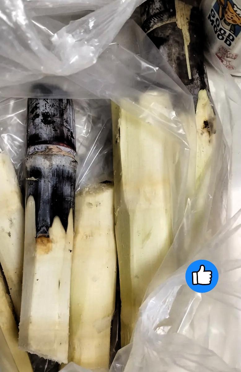 您说这事儿奇不奇怪！儿子甲流后咳嗽，我正打算买甘蔗熬糖水呢，没想到甘蔗居然能这么