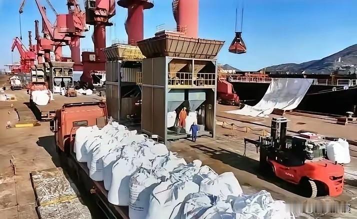 印度彻底睡不着了

这件事看着只是普通的海关检查，实则直接拿捏了印度的农业命脉，