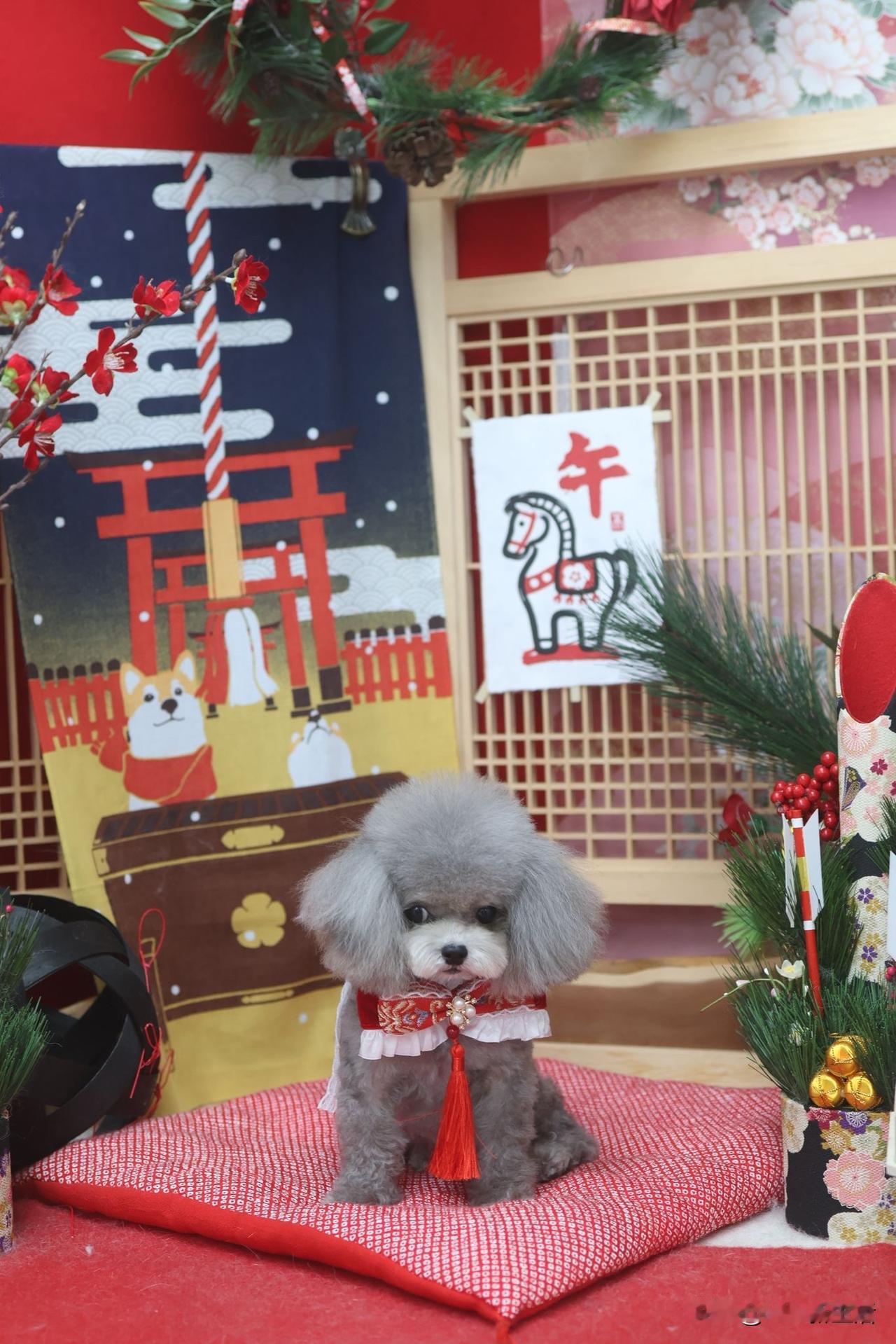香港🇭🇰物价本就高得离谱，如今还要加价，养宠物的家庭简直要抓狂了😫……
一