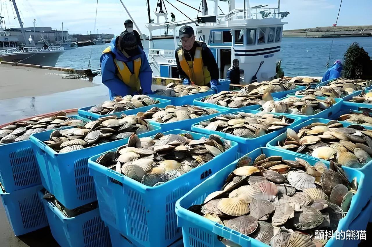 你会购买日本出口到中国的扇贝吗我是不会购买的，这不光是扇贝是否存在污染的问题，把