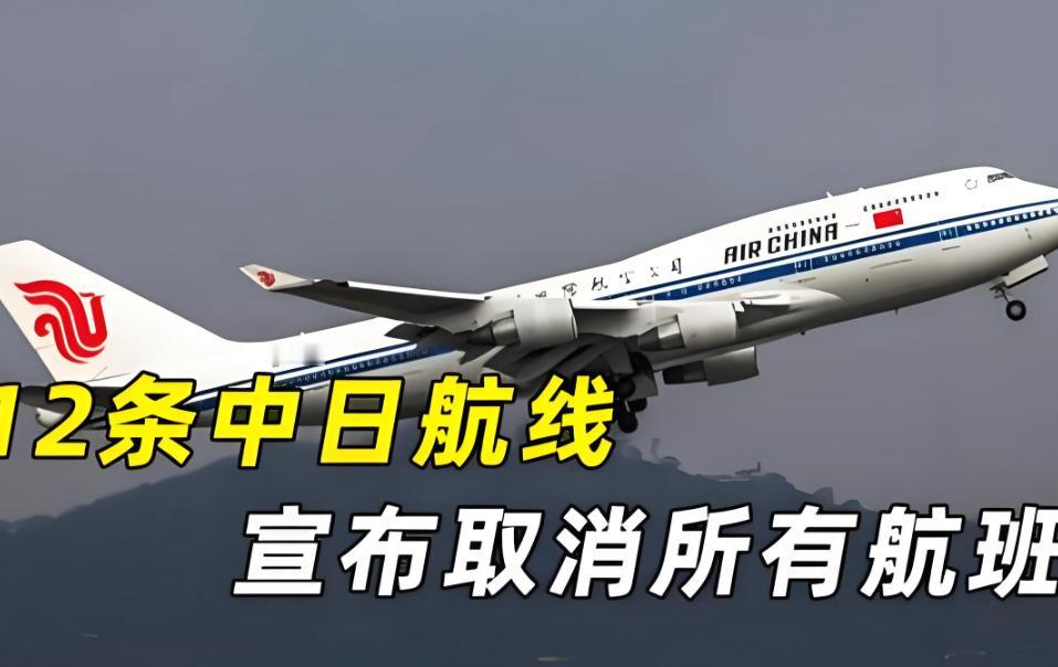 傻眼了吧，赴日旅游这就是不听劝的后果，去的潇洒，想回来可不容易了。航班取消买不到