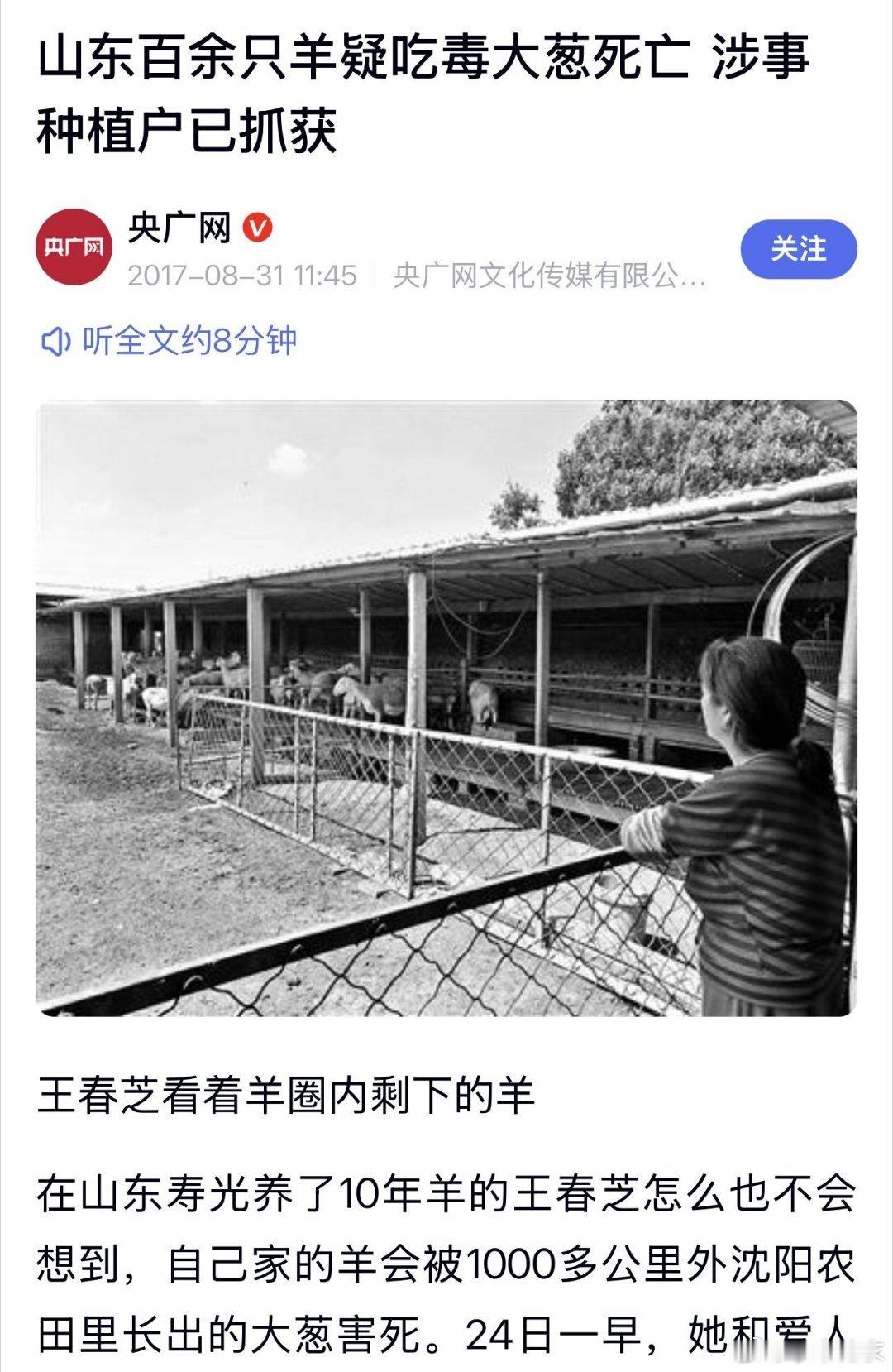 大葱用了啥科技与狠活了，羊怎么死了？ 