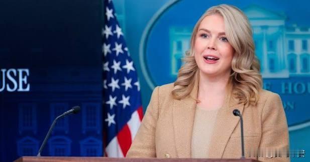 白宫：对格陵兰不排除武力
今天凌晨，卡罗琳在例行记者会上谈到格陵兰岛问题时，毫不