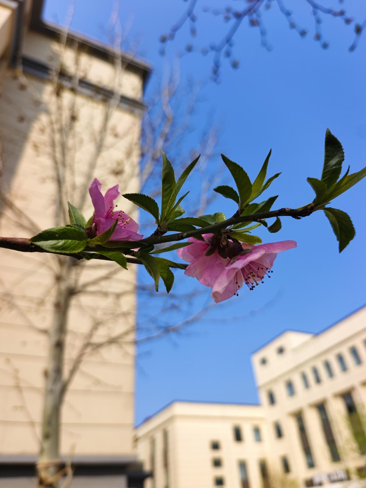 每天把做的一件好事，记录下来，积少成多，让做好事成为一种习惯。