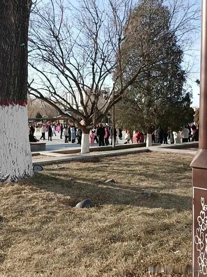 今日逛街，天气好得没话说，阳光暖烘烘地洒在身上，心情瞬间就明媚起来。来到广场，好