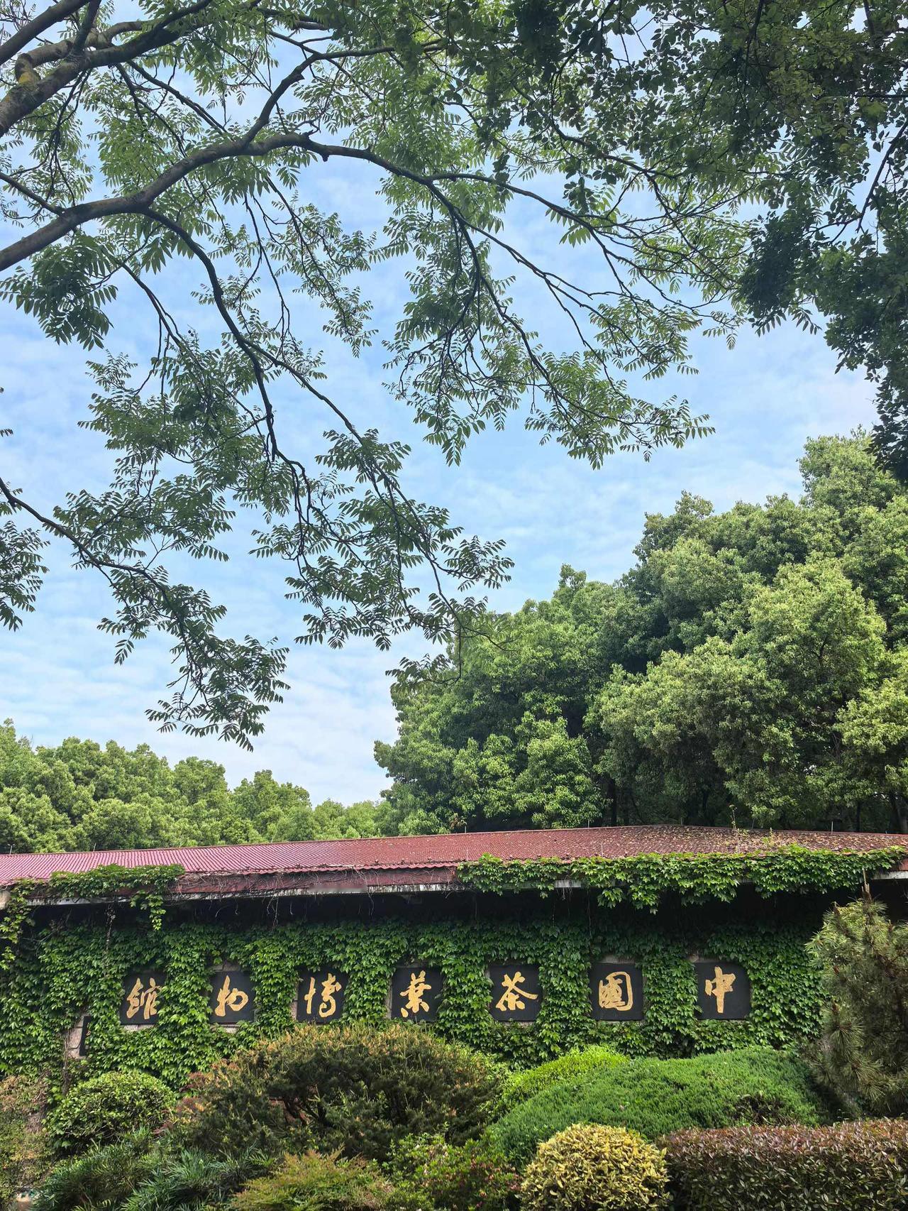 一路随拍
退休老党员参观杭州中国茶叶博物馆……