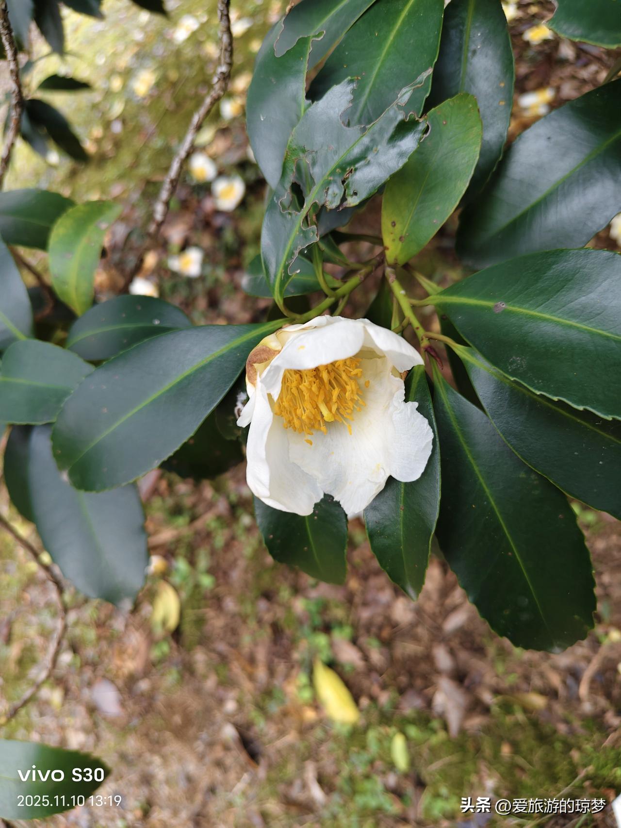 冬日生活打卡季