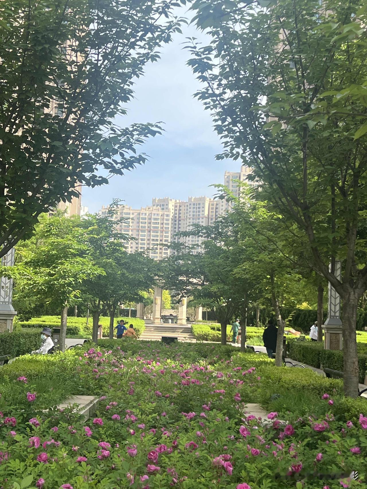用什么诗词来形容时光流逝呢?一寸光阴一寸金 ，寸金难买寸光阴。
①“闲云潭影日悠