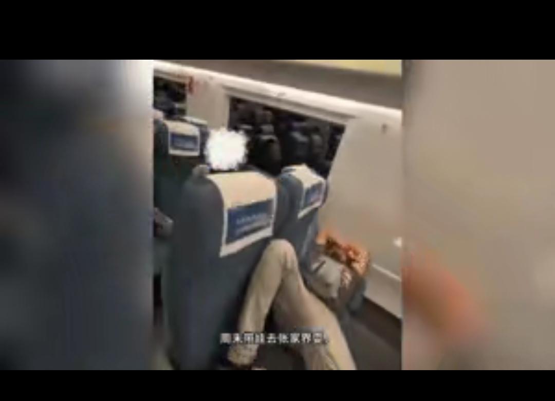 真的太气愤！自己的家园不爱护，跑中国高铁上肆无忌惮搞破坏，这波操作真的忍不了！博