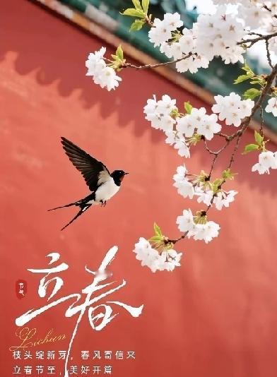 罕见！2026立春早至腊月，凌晨4点写这四字纳福
 
大家发现没？2026年立春