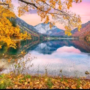 小邓是个残疾人