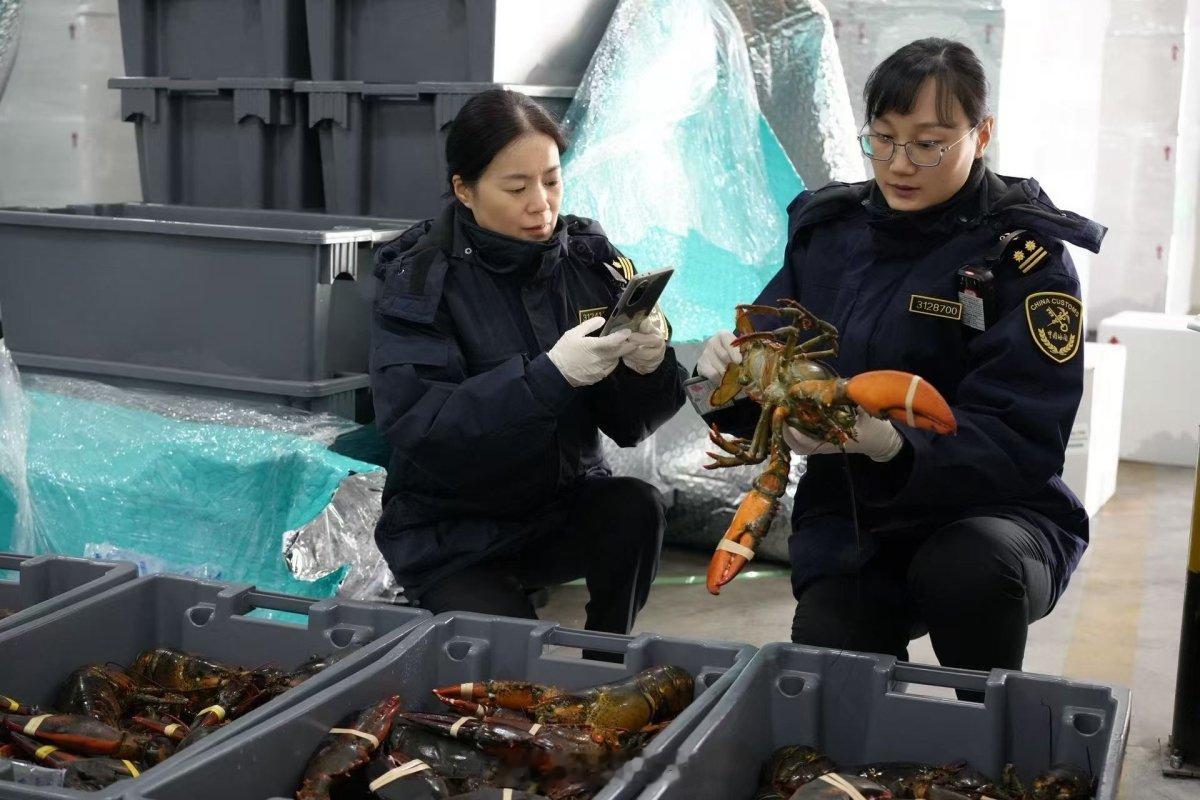 宁波口岸进口食品榜食用油居首 2025年宁波口岸食品进口榜出炉，食用油进口额39