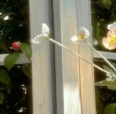 💐阳光信用 🌷‎每日一善 正能量带给我们的，如阳光带给向日葵，如雨露带给花朵