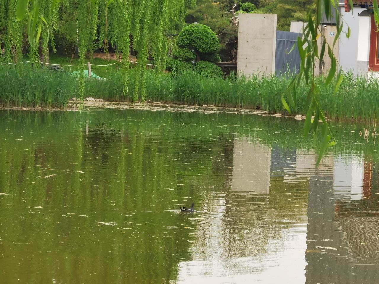 进入大专，一样有前途。
我辅导的一位同学，17周岁，在高中学不动了，就想选择大专