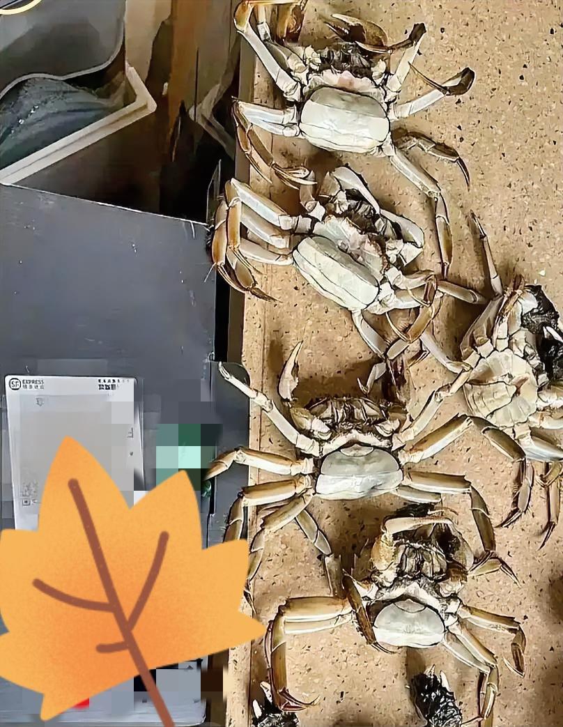 为骗195元螃蟹退款搞AI造假？广东买家直接换来8天拘留
 
靠AI合成死蟹视频