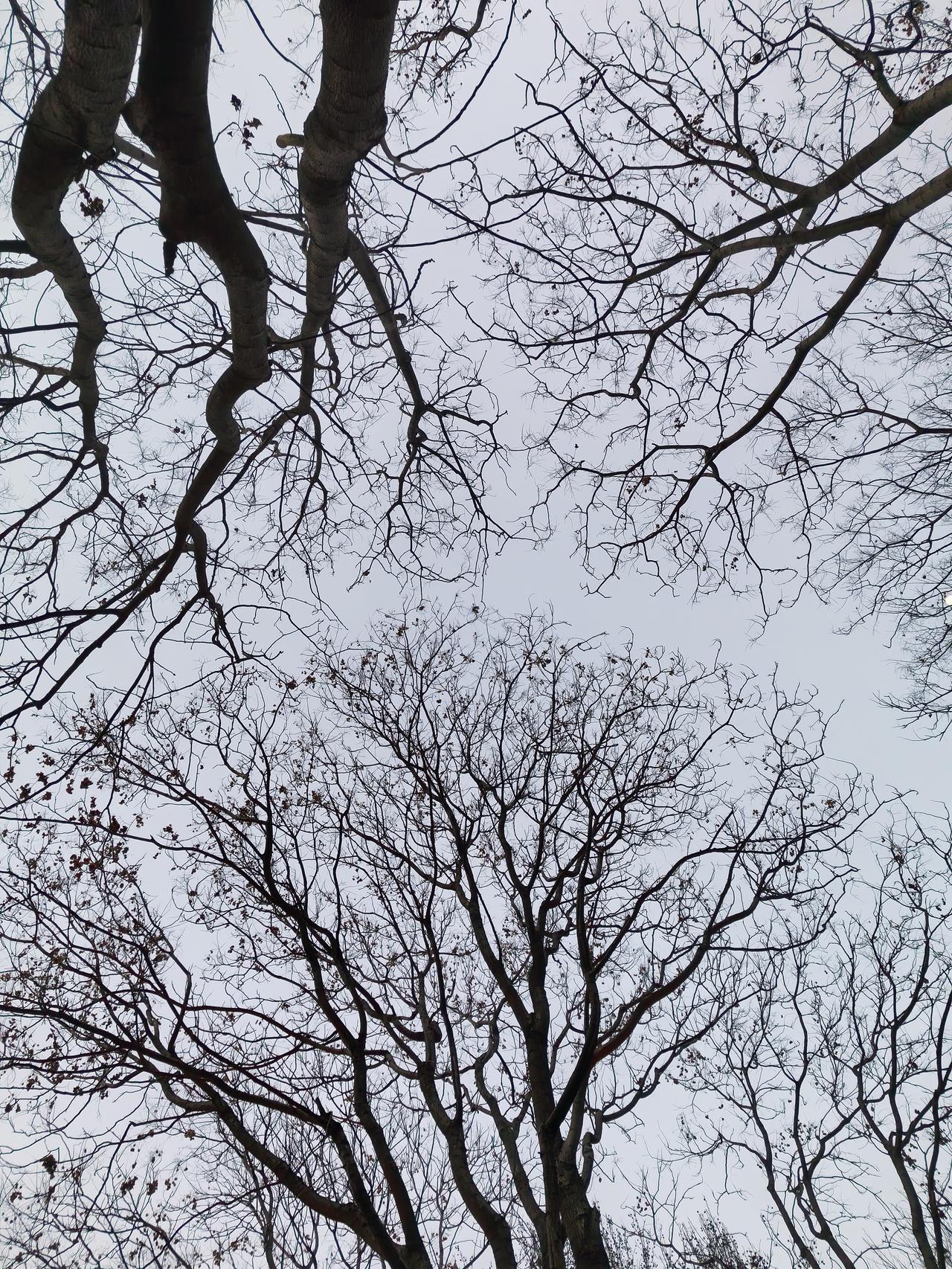 今天下雨中午没有回去，谁知公司来了个小官来检查，是个男的，经理居然牺牲我自己，跟