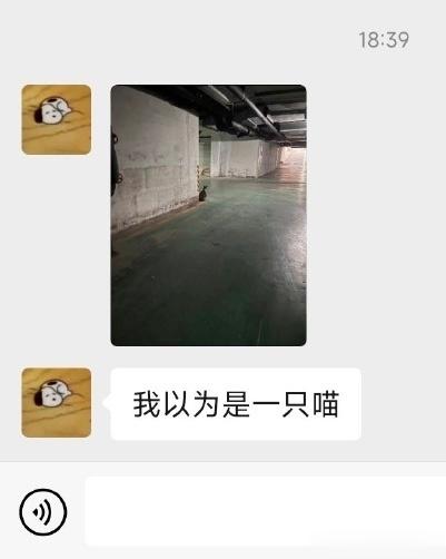 不是吗 ​​​