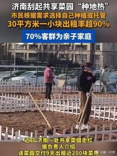 济南共享菜园走红:出租率超90%！近日，济南掀起共享菜园“种地热”，单包一块30