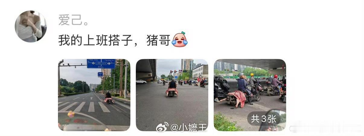 原来大家都有通勤搭子每天通勤路上有伴同行，枯燥的路程都变得轻松起来。一起闲聊分享