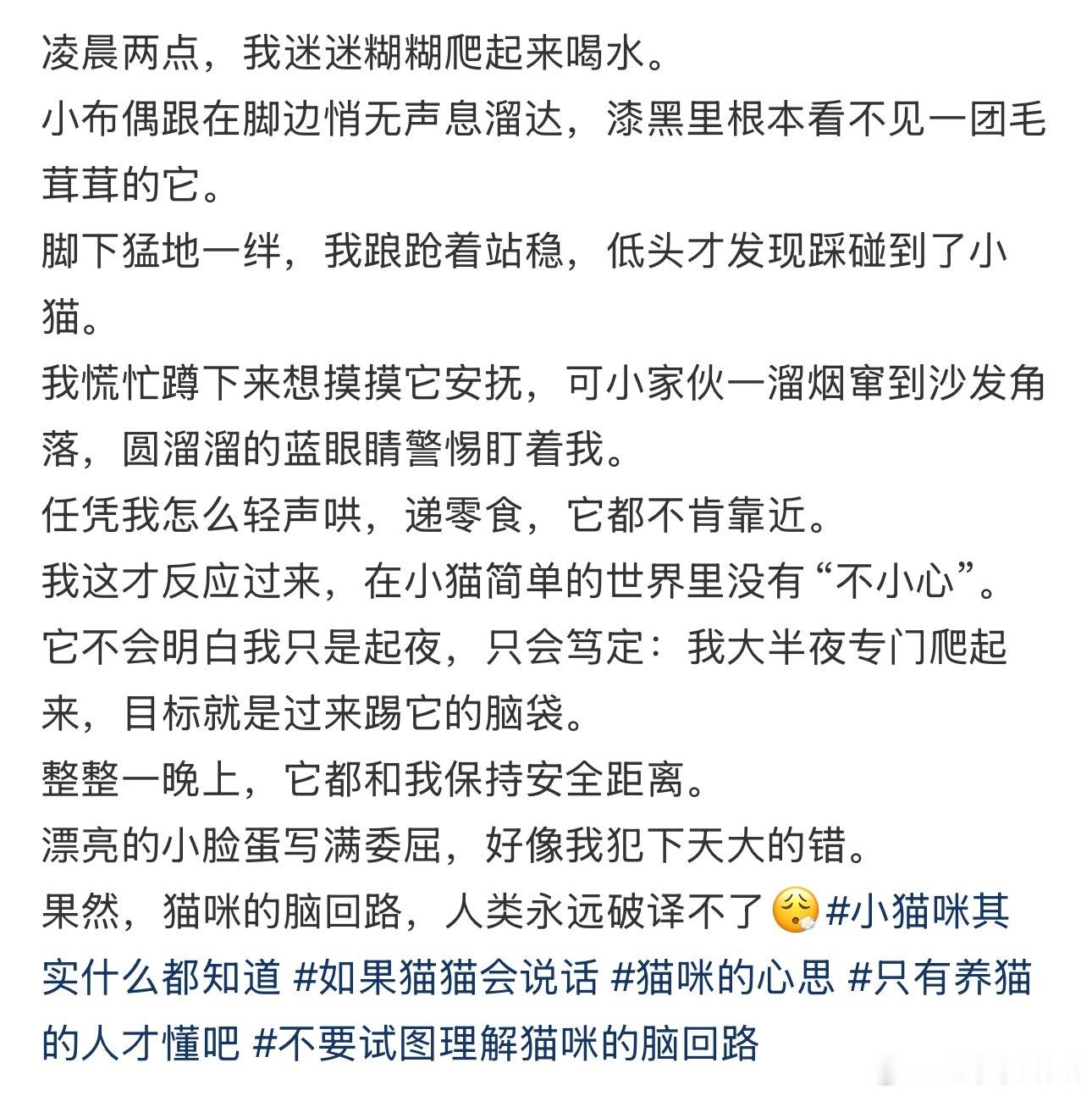小猫的思想很单纯 