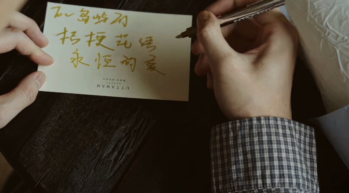 好吧我又在看生日会的短片了好喜欢🥰回味ing蓝色桔梗  🦈对🏝️永恒♾️的