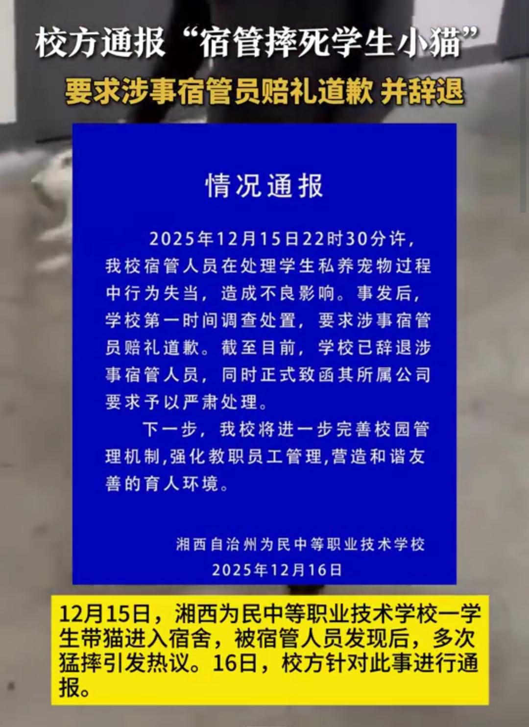 教官的做法是极端，但这名同学真的爱猫吗？这猫跟了他也是倒八辈子霉了！

12月1