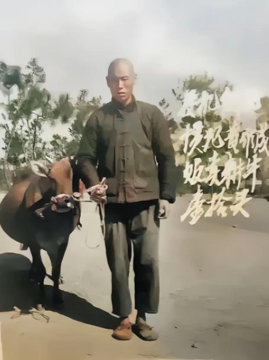 1969年的一天，北方某地街头聚集着很多人群，他们都在观望着一个中年男子，只见他