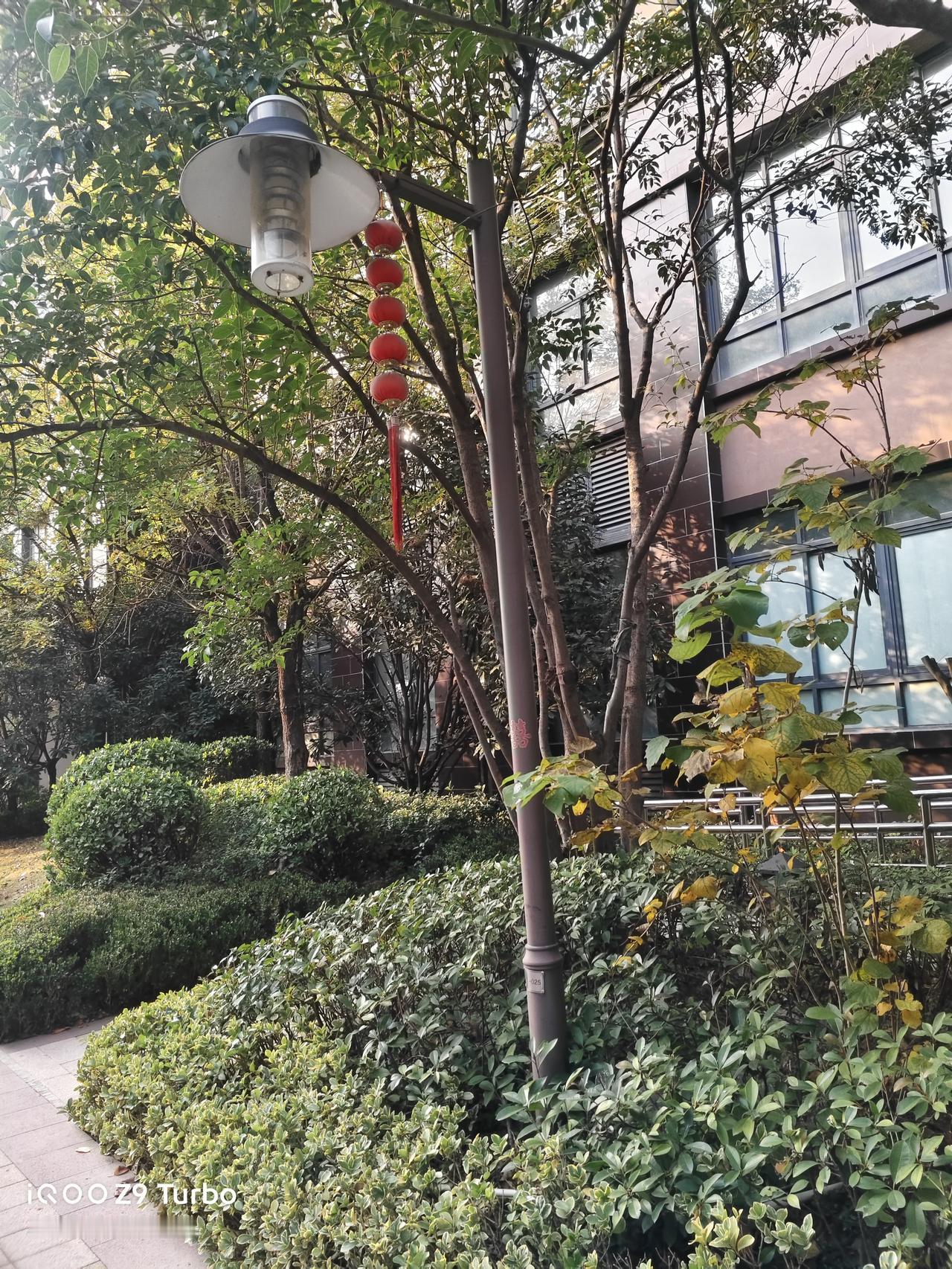 咱们小区这小角落还挺有氛围感的。你看这路灯，旁边挂着串红灯笼，在树叶底下一衬，还