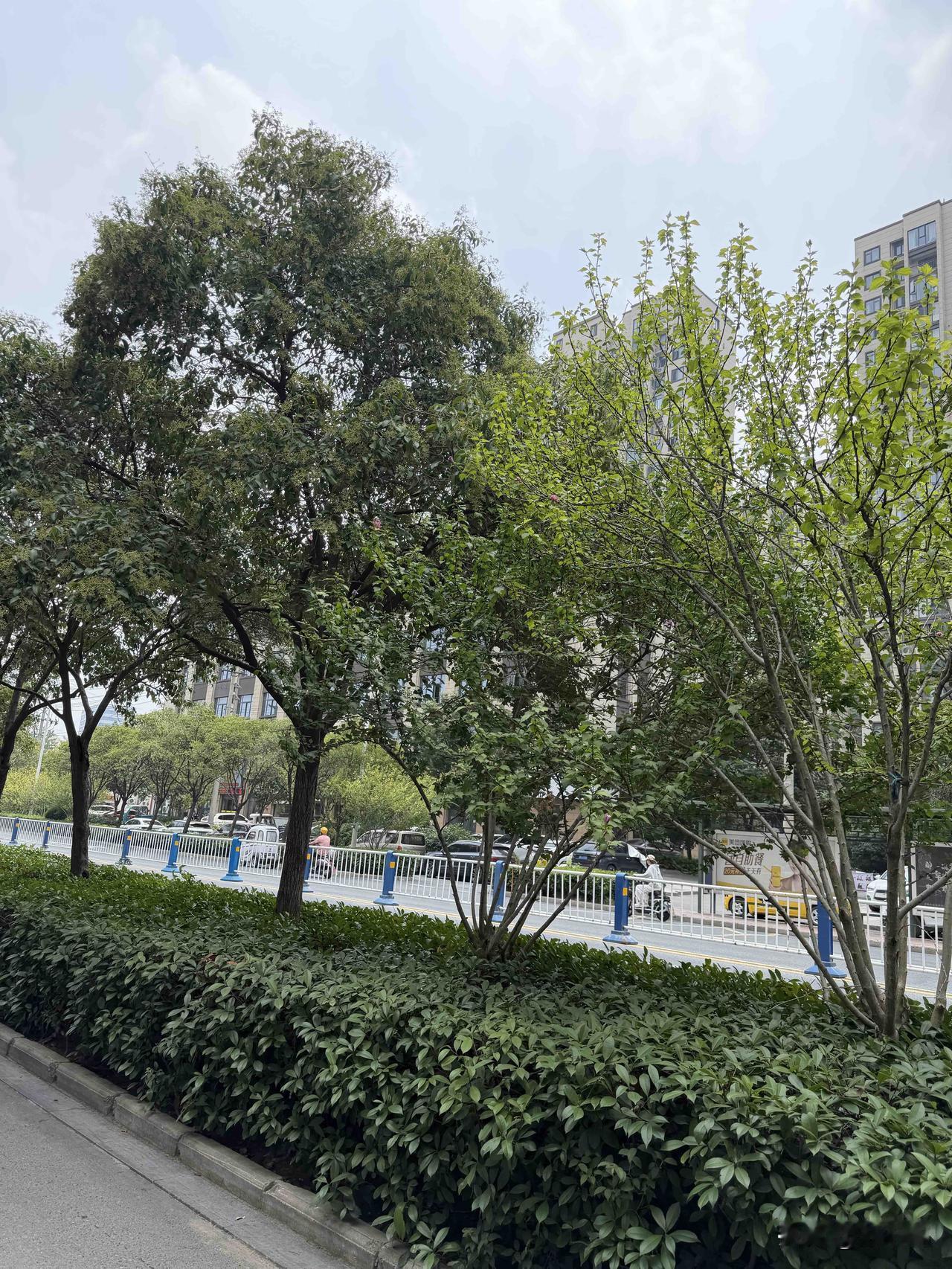 88岁老父亲，今天永远离开了我们。
在医院的二十多个日夜里，老人家饱受病痛折磨，