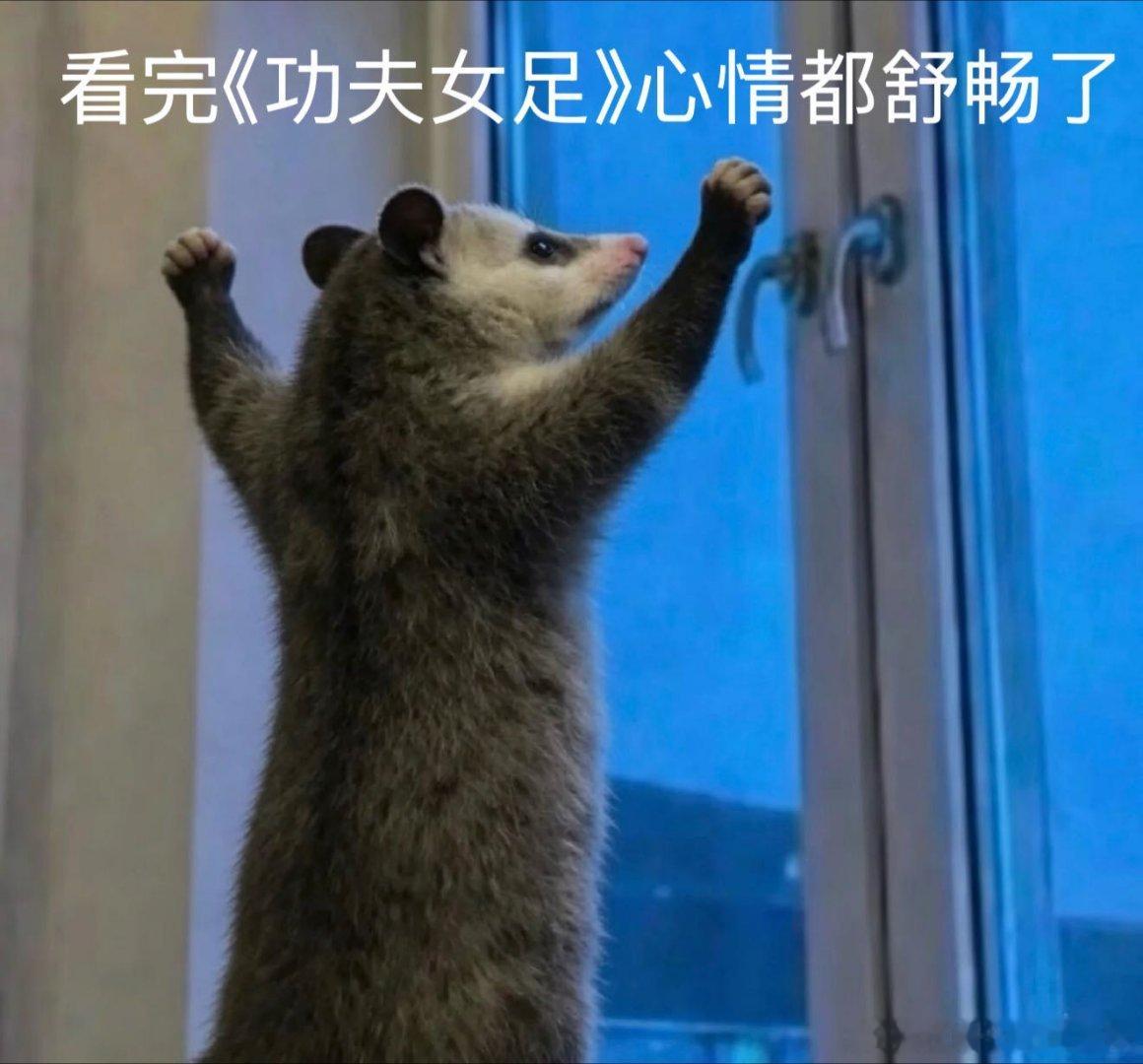 功夫女足 好看 功夫招式融合足球战术，脑洞超大，每一场球赛都看得目不转睛 👀 