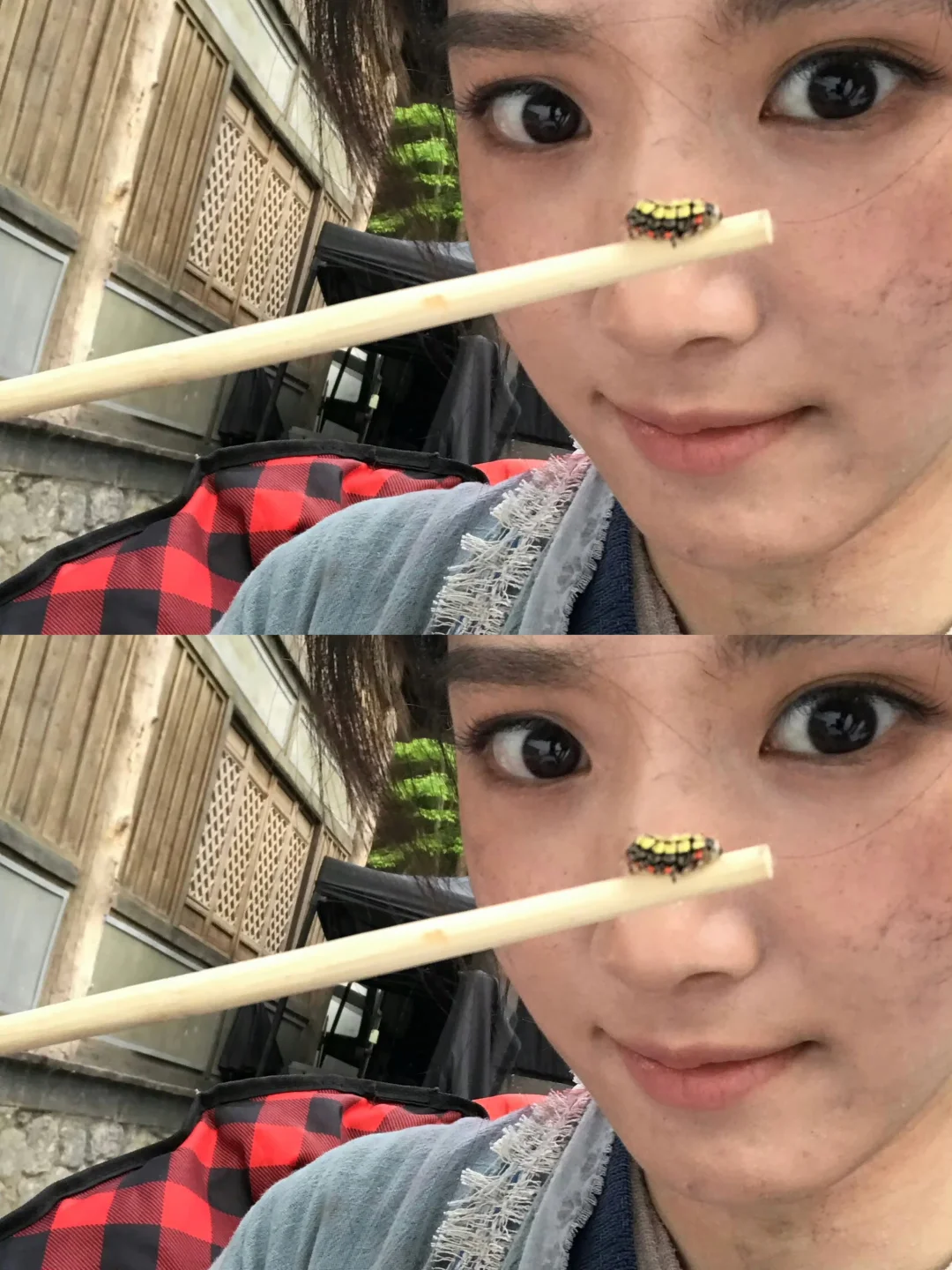 卢昱晓玩虫子