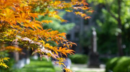 一、到底多少分能上？别被一个数字骗了
很多家长和学生上来就问“这学校多少分”，这