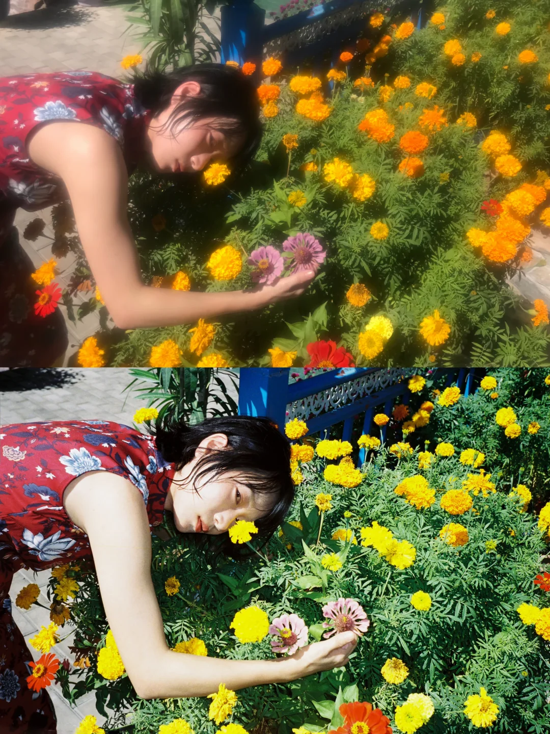 我的夏天是彩色的。