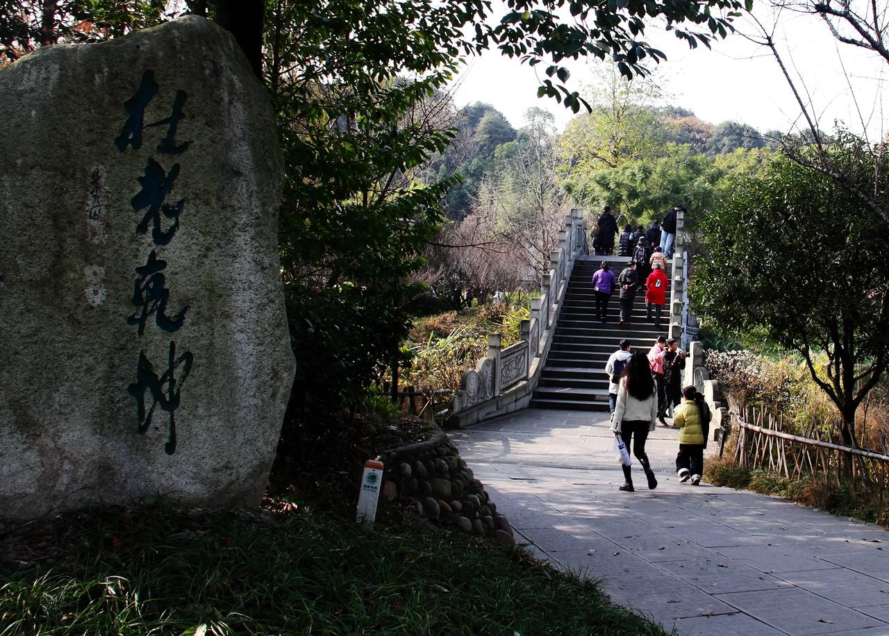 【冬日打卡 漫游浣花溪 草堂拍腊梅】20250106 

    昨日小寒，漫游