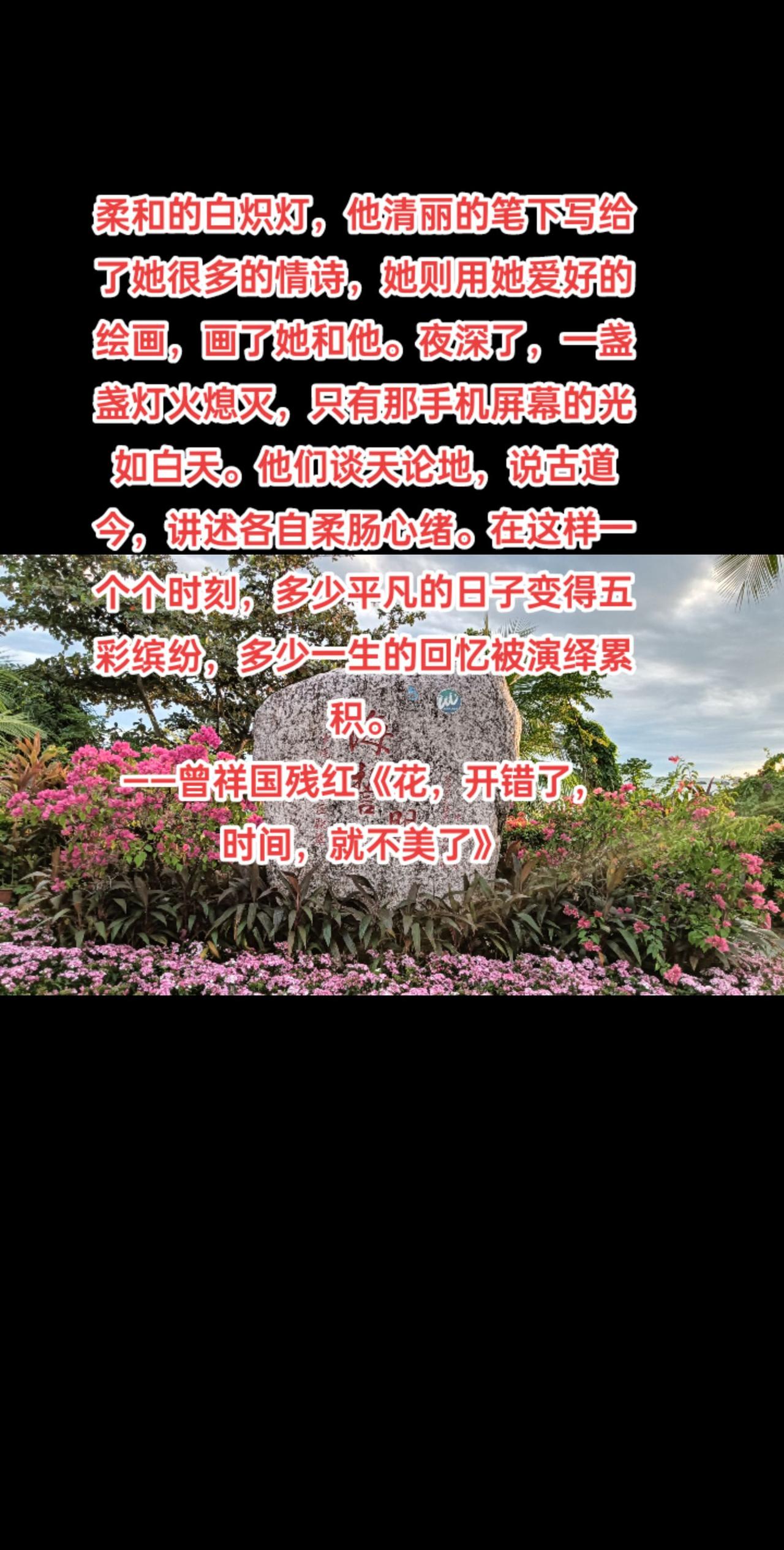 柔和的白炽灯，他清丽的笔下写给了她很多的情诗，她则用她爱好的绘画，画了她和他。夜