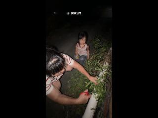 笑不活了！大晚上，路边，奶奶蹲在地上拿剪刀剪草，4岁孙女站在旁边，双手一抱，灵魂