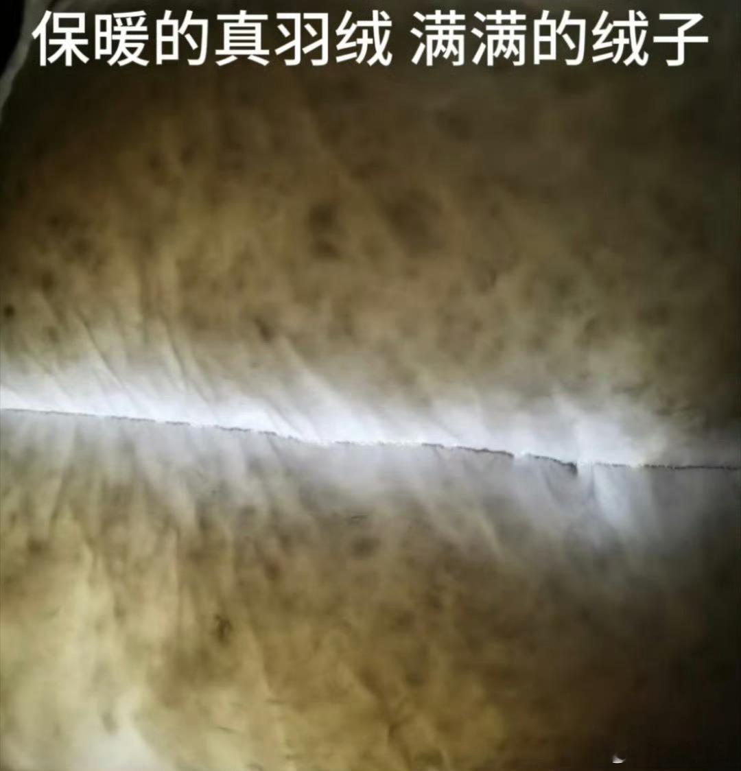 焦虑了焦虑了，大家不用非得剪开看，关灯拿手电筒一照就知道是羽绒还是飞丝了！这个办
