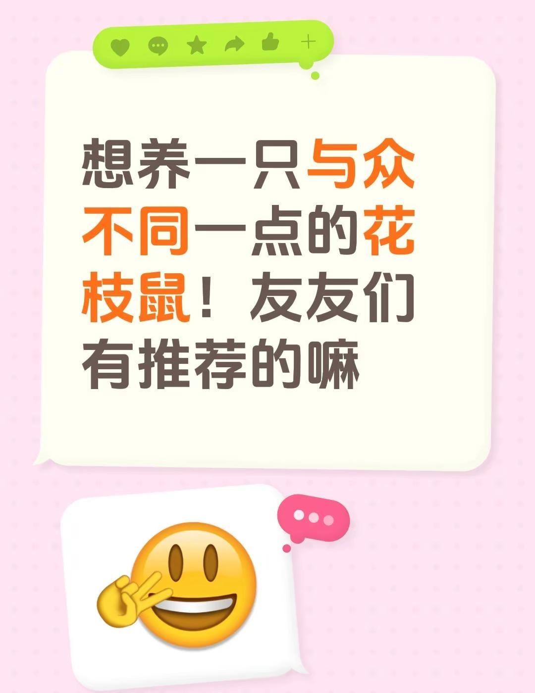 想养一只与众不同一点的花枝鼠！友友们有推荐的嘛异宠推荐 好养的小型宠物推荐 花枝