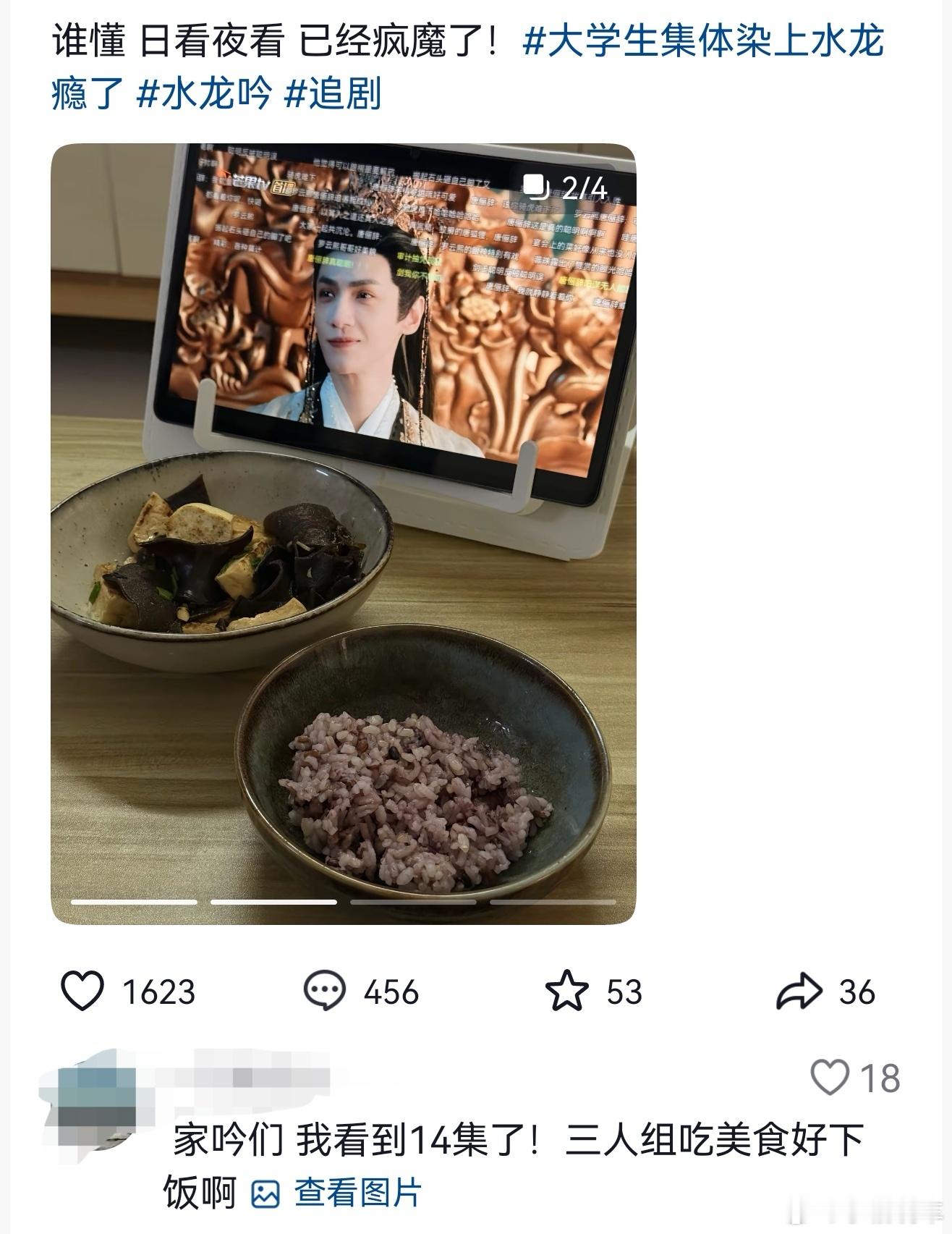 大学生集体染上水龙瘾了染上的原来是这个《水龙吟》，感觉很好看啊，这主要是讲什么的