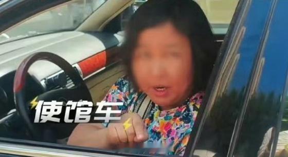 驻华机构中国雇员不得危害国家安全我就知道某个使馆的中国司机，开着使字头的车各种作